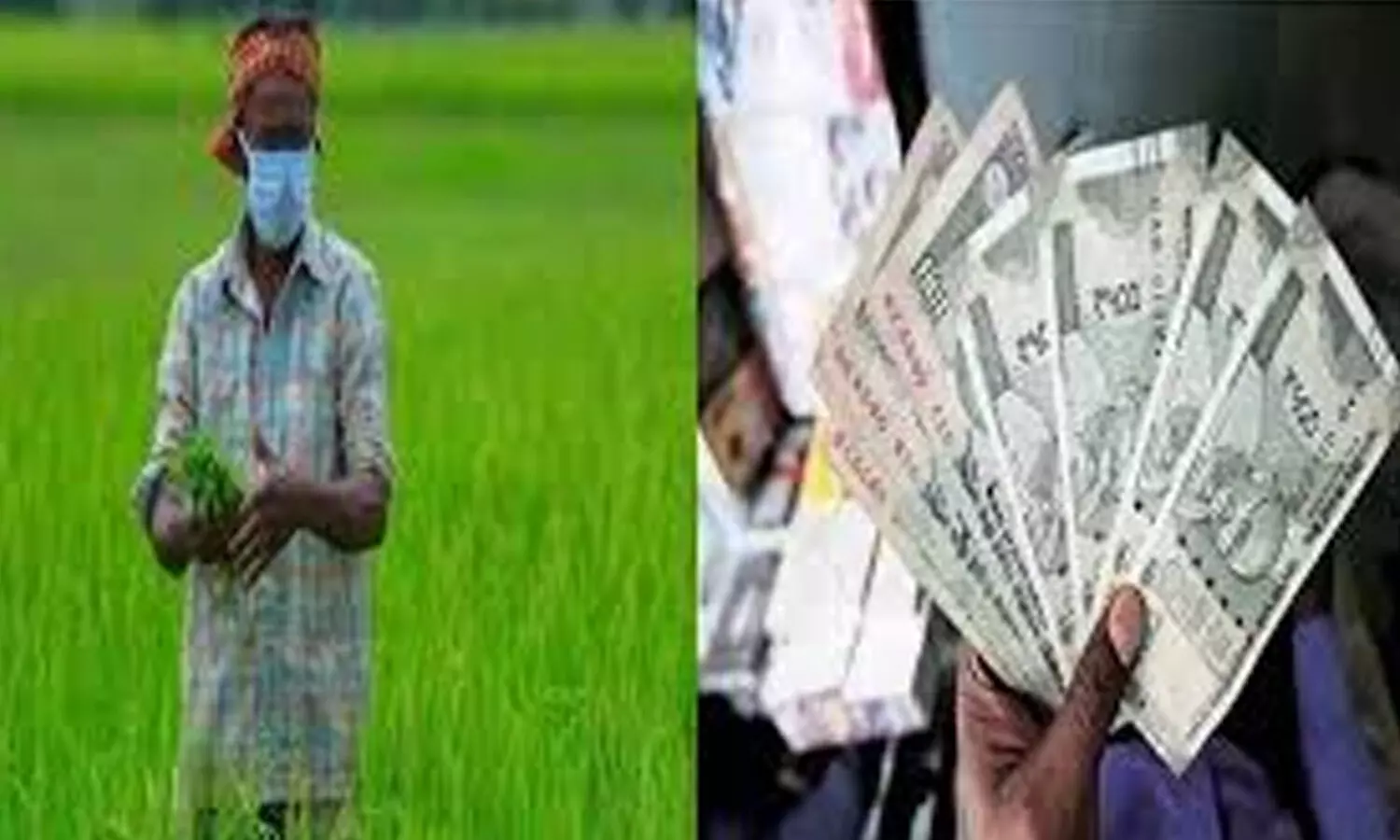 Farmers : నేడు రైతులకు గుడ్ న్యూస్.. బ్యాంకు ఖాతాల్లో డబ్బులు జమ