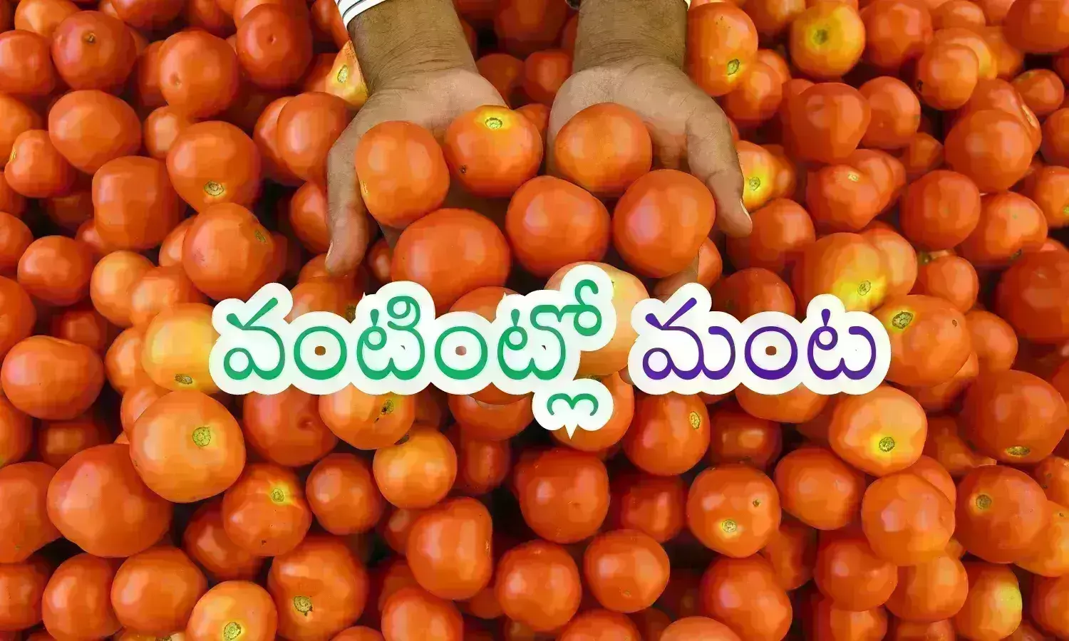 సెంచరీ కొట్టేసిన టమాటా.. కన్నీళ్లు తెప్పిస్తున్న ఉల్లి