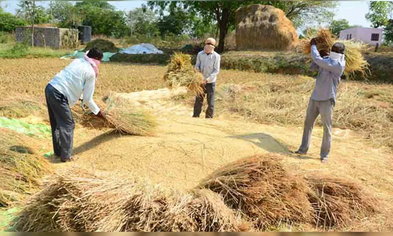 రైతులకు గుడ్ న్యూస్.. ఆ పంటలకు ధరలు ఇక ఇవే