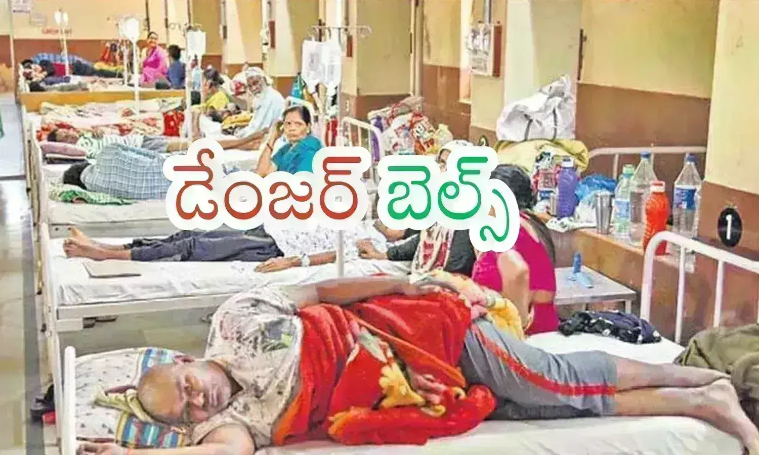 Telangana : తెలంగాణకు డెంగీ ముప్పు... హెచ్చరించిన ప్రపంచ ఆరోగ్య  సంస్థ