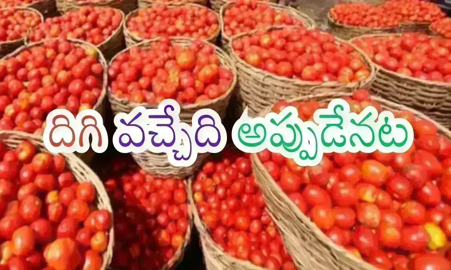 Tomato : టమాటా ధరలు ఇప్పుడిప్పుడే దిగిరావట.. నోటికి తాళం వేసుకోవాల్సిందే