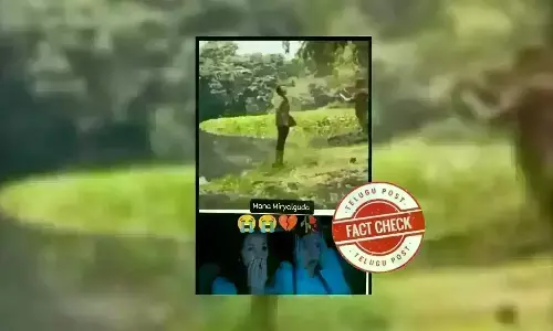 Crocodile Attack, Viral Video, Fake Video, Social Media