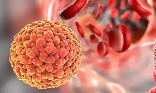 Zika Virus : జికా వైరస్ ముప్పు... అలర్టయిన వైద్యశాఖ