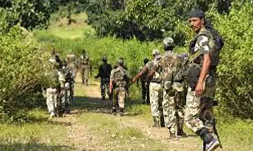 encounter, five maoists died, police, chhattisgarh
