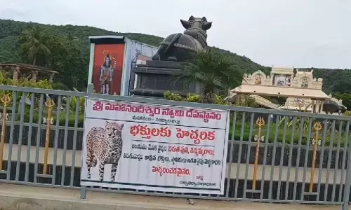 Leopard : మహానంది క్షేత్రం వద్ద మళ్లీ  చిరుతపులి