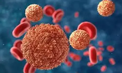 Zika Virus : జికా వైరస్ కలకలం.. రాష్ట్రాలకు హై అలర్ట్