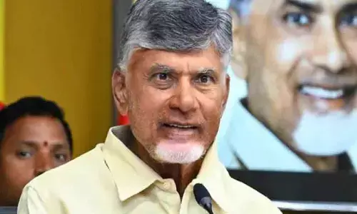 chandrababu, chief minister,  amaravati, delhi