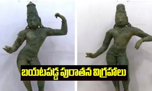 ఆ విగ్రహాల విలువ 22 కోట్లా.. ఎలా చిక్కాయంటే?