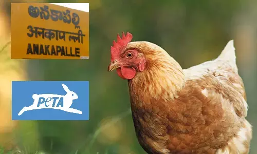 Anakapalle, AndhraPradesh, Anakapalli, Dance, KanchanaSongDance, Peta