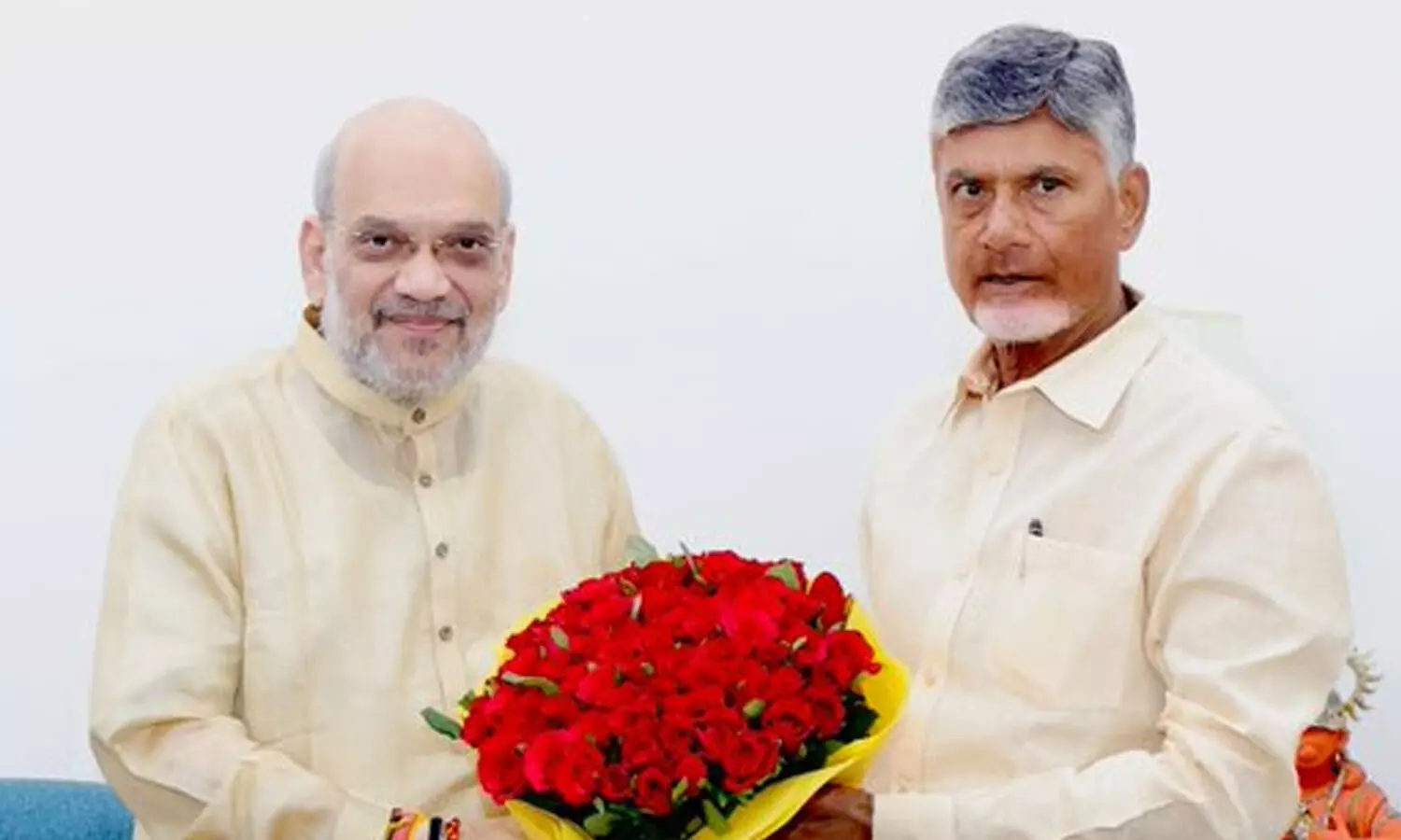 chandrababu naidu, chief minister,  andhra pradesh, amit shah