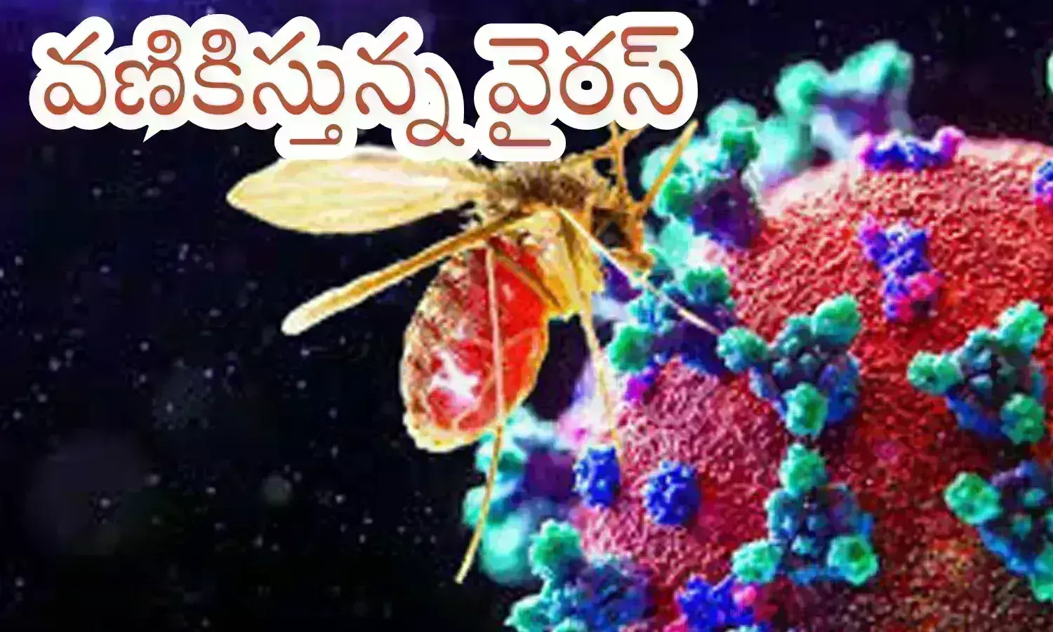 chandipura virus, shakes, eight children died, gujarat chandipura virus, shakes, eight children died, gujarat