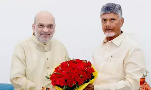 chandrababu naidu, chief minister,  andhra pradesh, amit shah