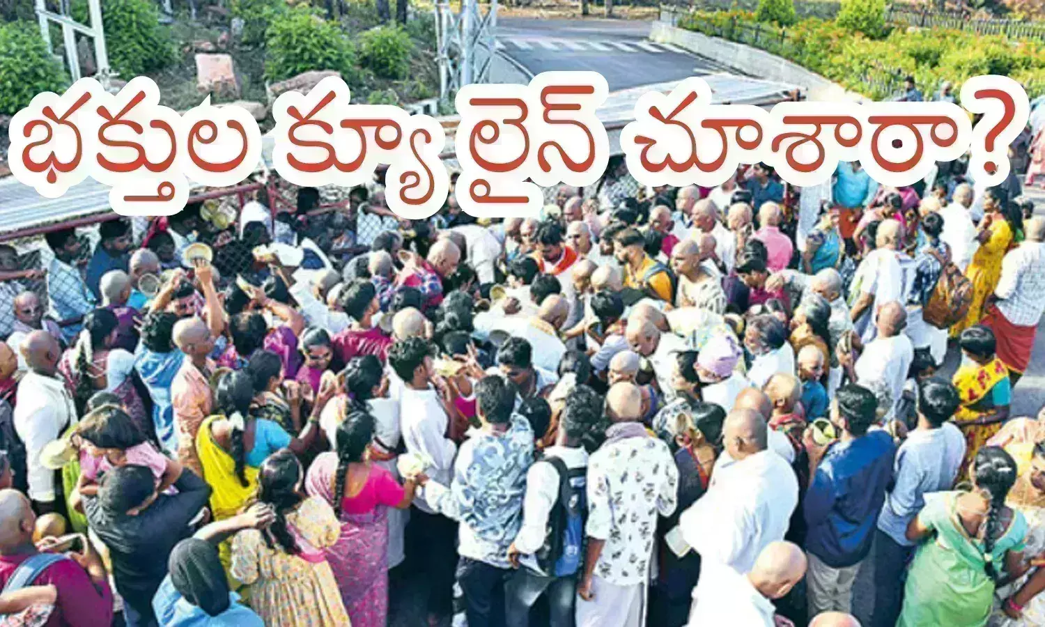 Tirumala : నమో వెంకటేశాయ... కనిపించవయ్యా?