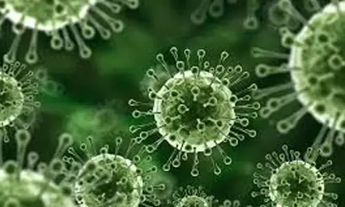 కేరళలో మరోసారి నిఫా వైరస్ కలకలం