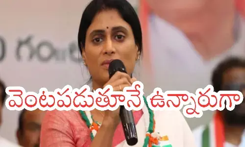Ys Sharmila : ఓటమి పాలయినా వదలని చెల్లెమ్మ... వెంటపడుతూనే ఉన్నారుగా?