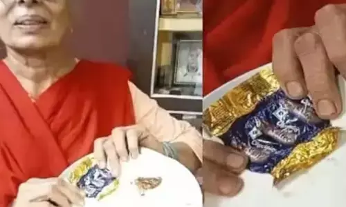 Student, Woman, Chocolate, Birthday