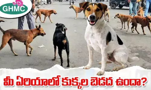 GHMC: మీ ప్రాంతంలో కుక్కల బెడద ఉంటే.. ఈ నెంబర్ కు కాల్ చేయండి