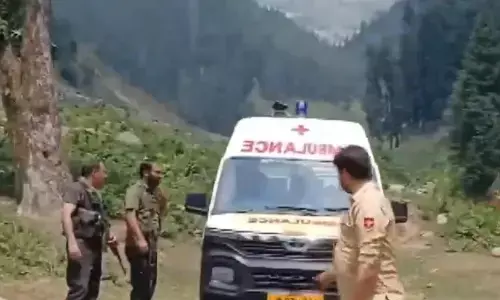 Road Accident: ఒకే కుటుంబంలోని 8 మంది దుర్మరణం