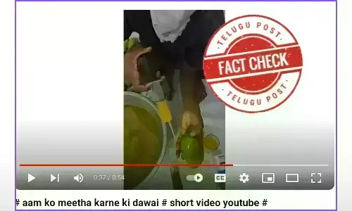 Mangoes, Ripening of mangoes, adulteration of mangoes, injecting chemicals