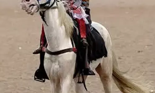 ప్రాణం తీసిన గుర్రపు స్వారీ