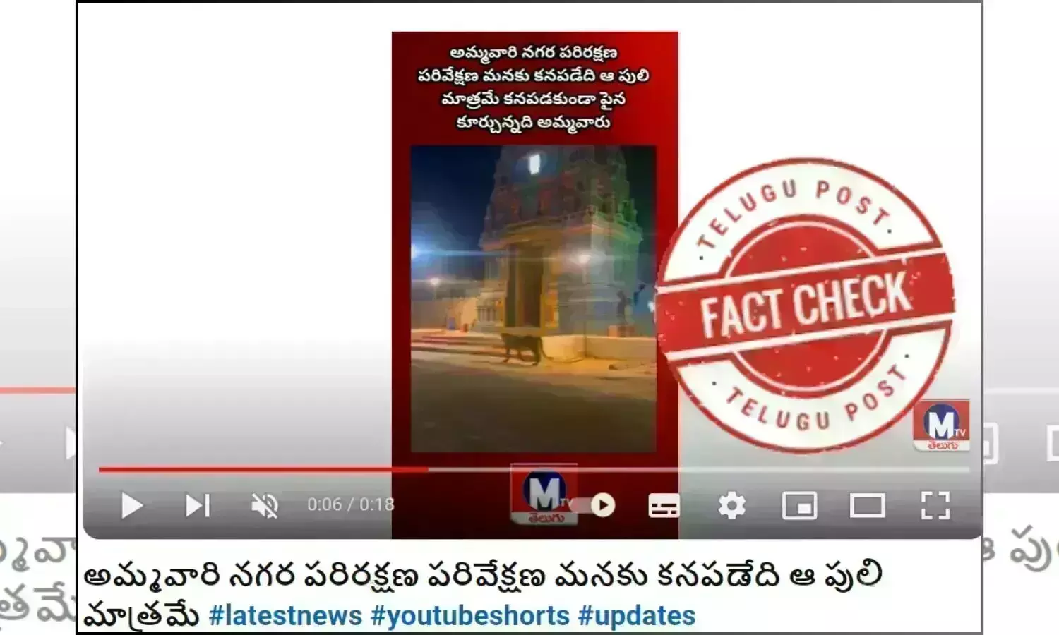 Lioness, Lion prowling, lion spotted, Vijayawada Temple