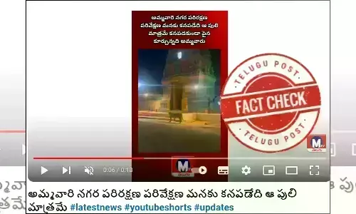 Lioness, Lion prowling, lion spotted, Vijayawada Temple