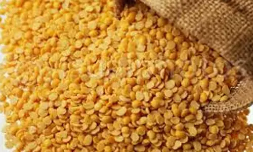 Andhra Pradesh : గుడ్ న్యూస్.. తగ్గిన ధరలు రేపటి నుంచే అమల్లోకి