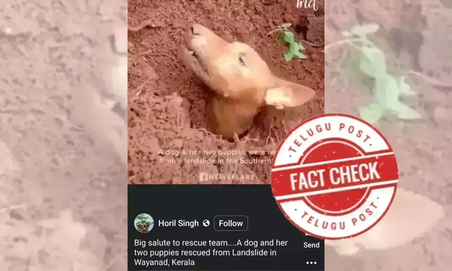 Mudslide, landslide, WayanadLandslide, dog stuck in mud