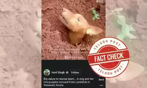 Mudslide, landslide, WayanadLandslide, dog stuck in mud