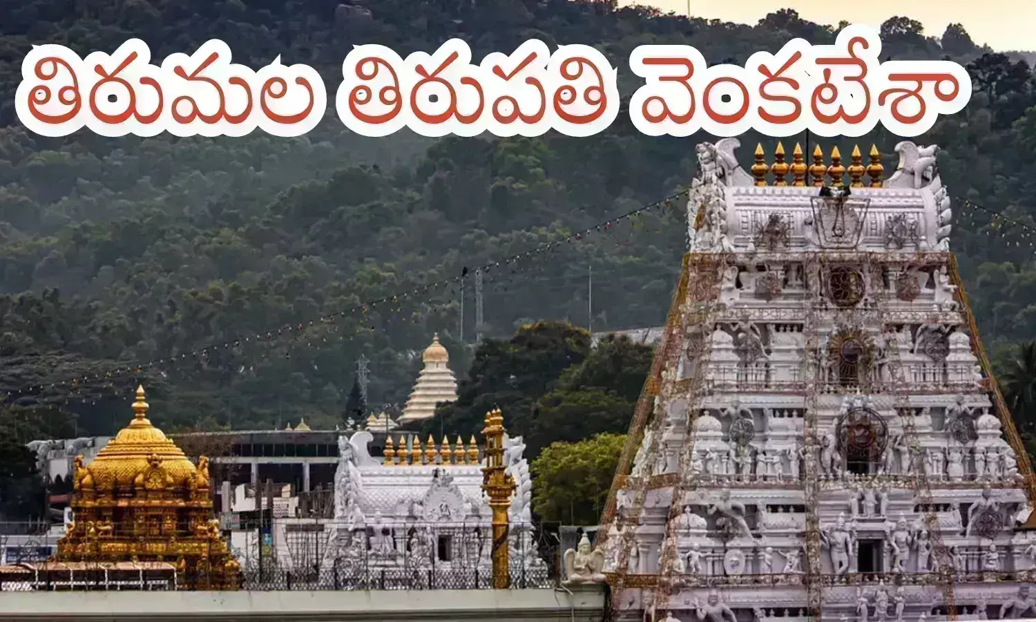 devotees in tirumala, saturday crowd