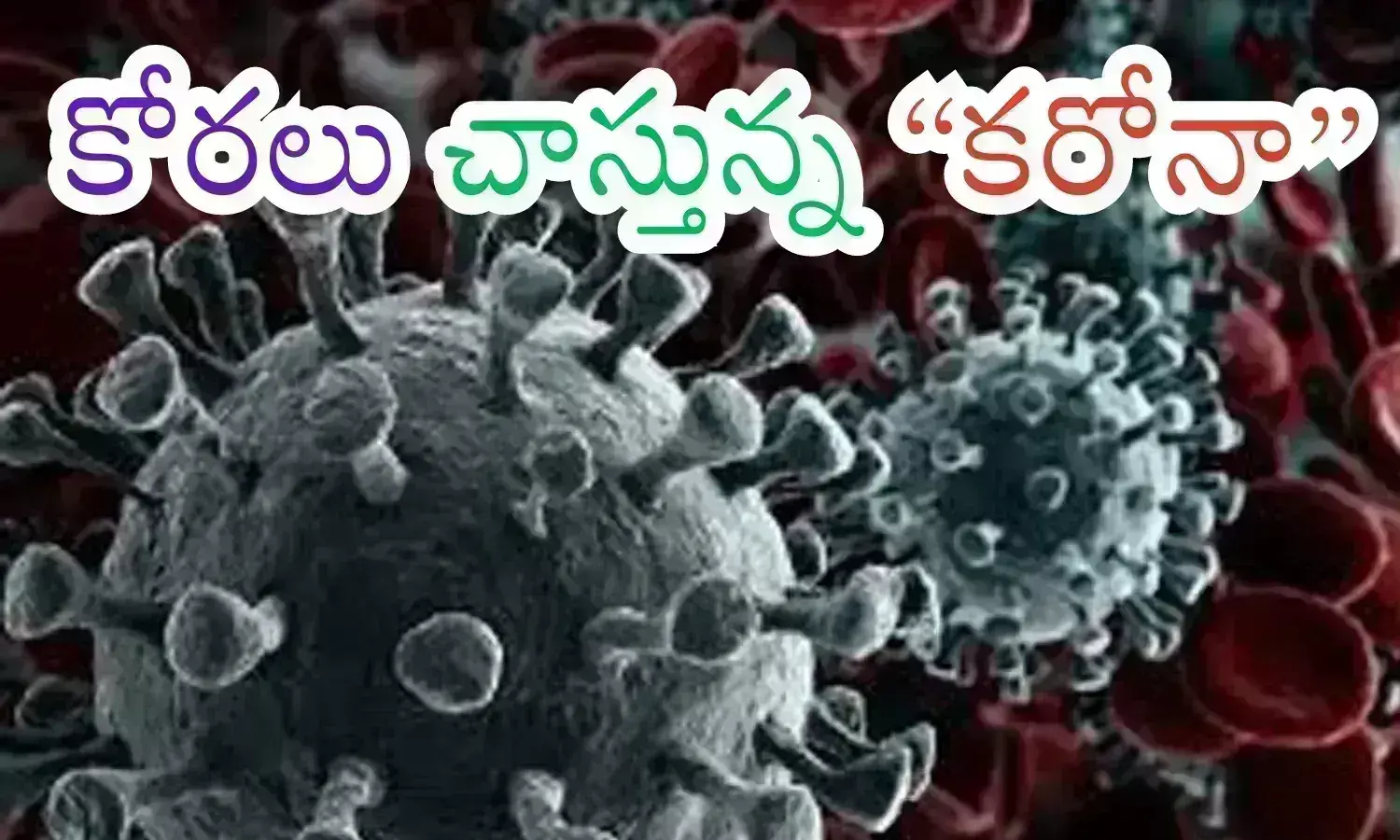 corona virus, world heath organisation, warned, countries