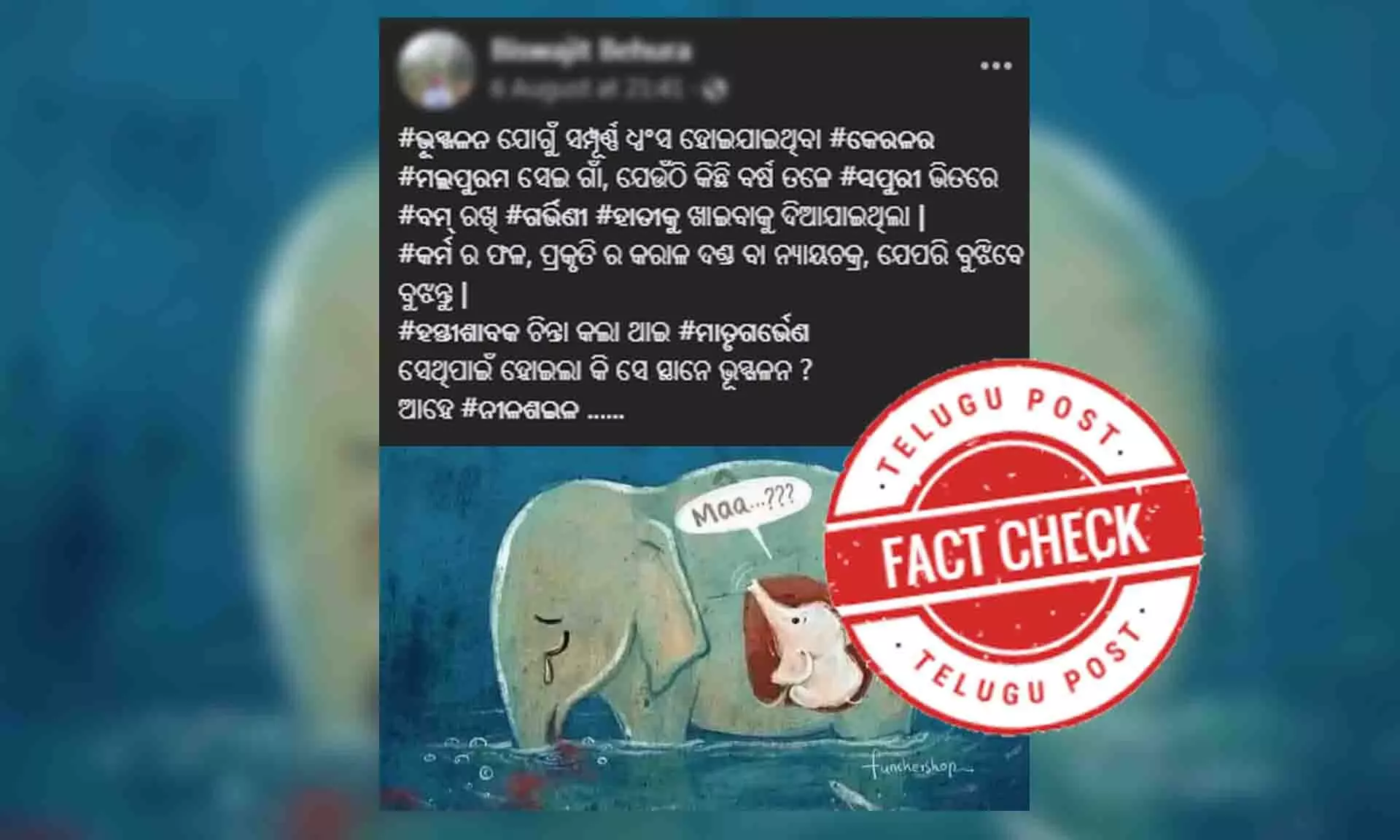 ମଲ୍ଲପୁରମ ରେ ମୃତ୍ୟୁବରଣ କରିନଥିଲା ଗର୍ଭିଣୀ ହାତୀ , ନା ହୋଇଥିଲା ଭୂସ୍ଖଳନରେ କିଛି କ୍ଷୟକ୍ଷତି