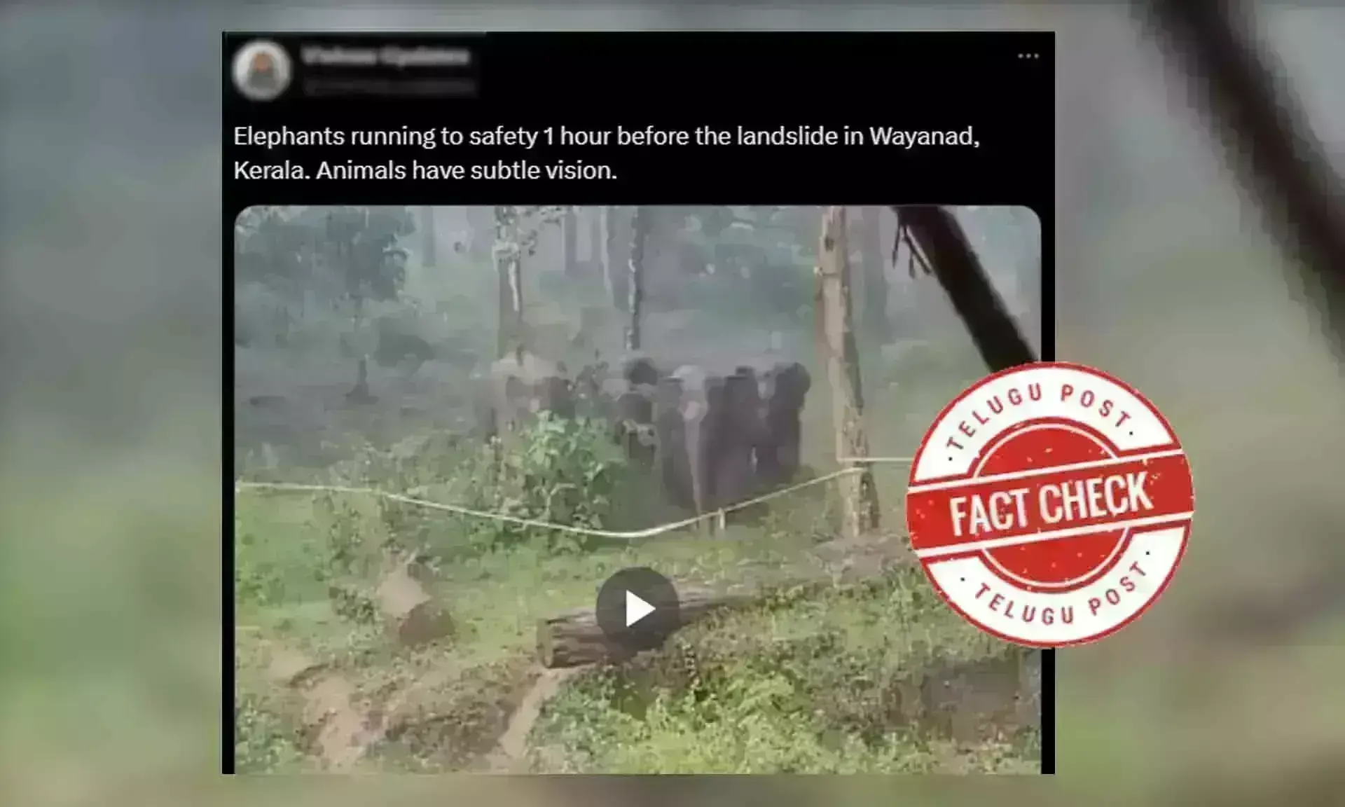 ಫ್ಯಾಕ್ಟ್‌ಚೆಕ್‌: ಆನೆಗಳು ಓಡಿಹೋಗುತ್ತಿರುವ ದೃಶ್ಯಗಳು ವಯನಾಡ್ ಘಟನೆಗೆ ಸಂಬಂಧಿಸಿಲ್ಲ