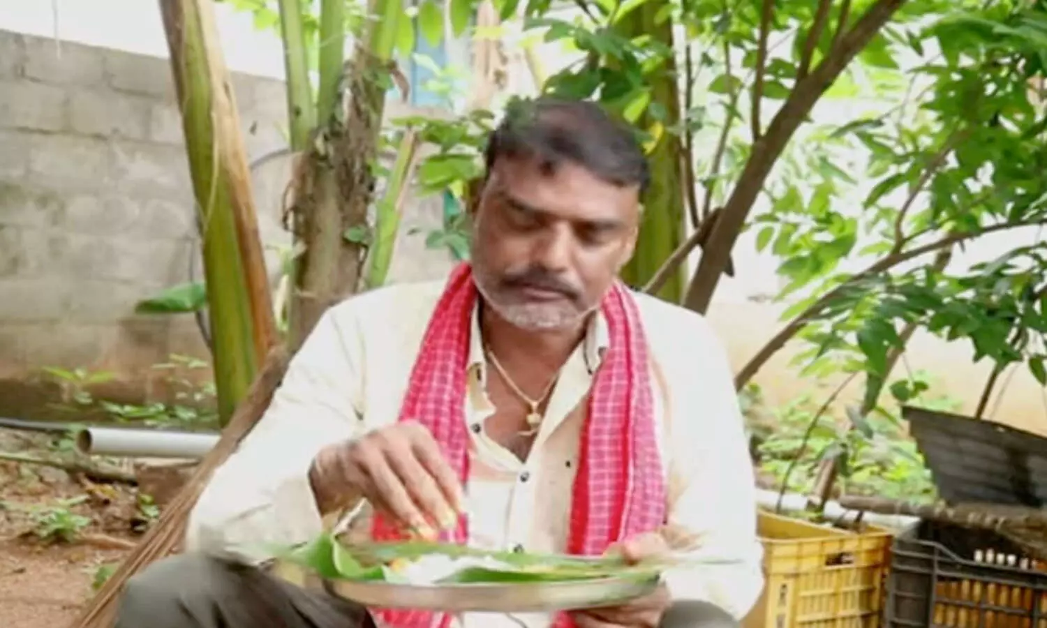 youtuber cooks peacock curry