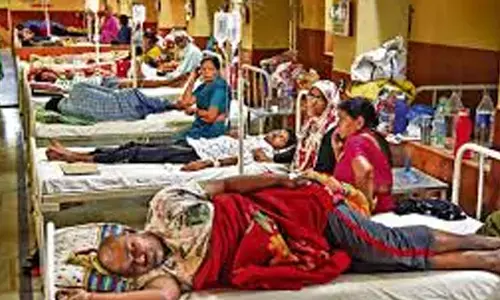 dengue cases hyderabad, viral fever, hospitals telangana