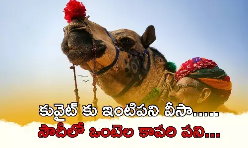 illegal visa to dubai work, human trafficking dubai, house keepers as cameleer kuwait, dubai