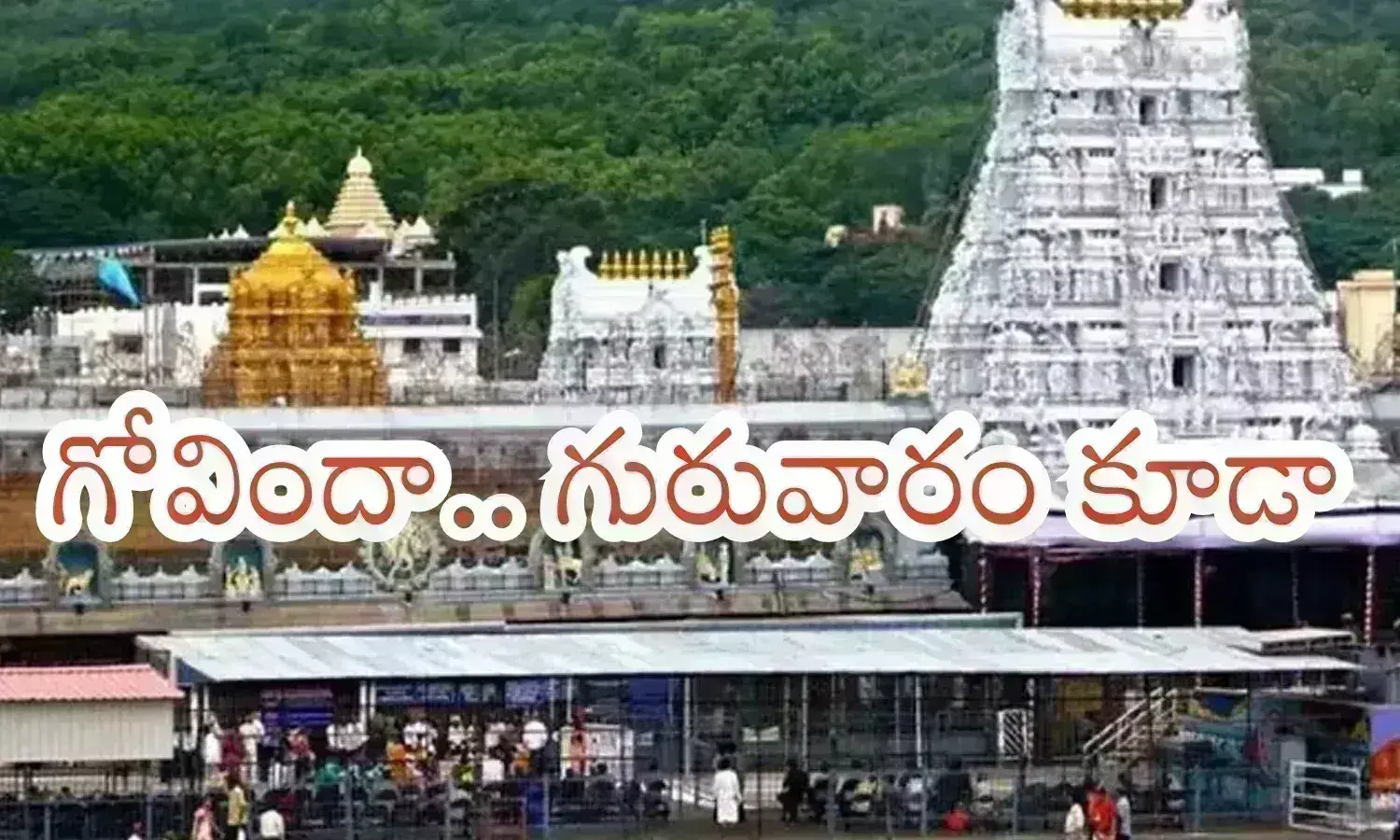 devotees in Tirumala Tirupathi, thursday crowd, Tirumala Tirupathi