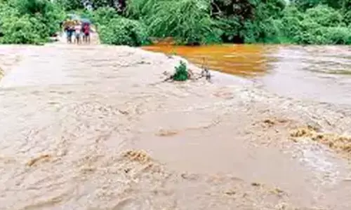 government employees,  washed away, ootagedda stream,  parvathipuram manyam district
