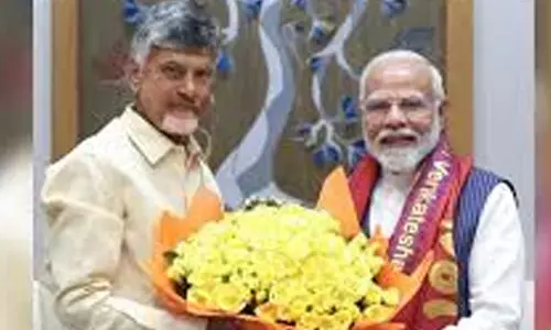 chandrababu naidu,  chief minister, narendra modi, delhi