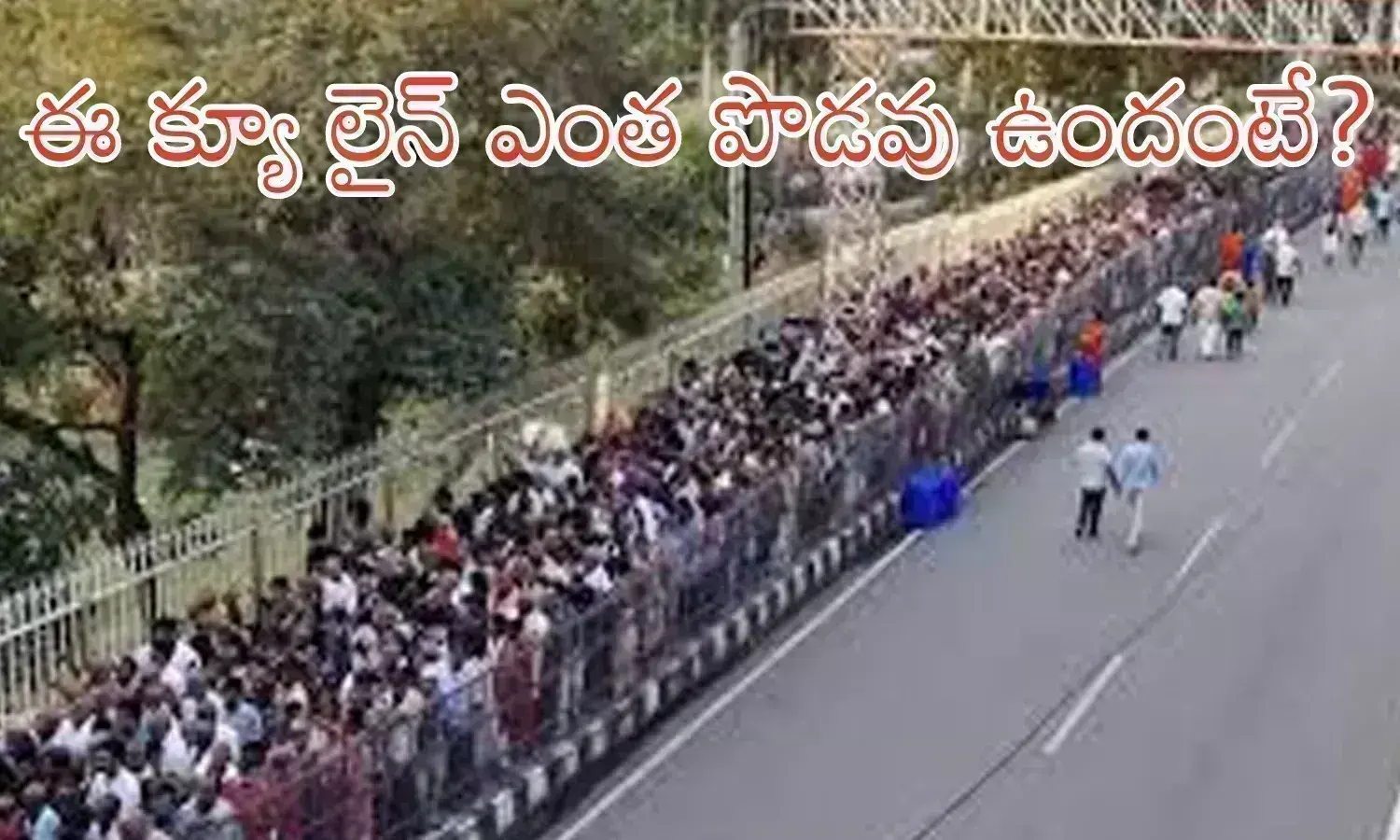 crowd,  devotees, sunday,  tirumala