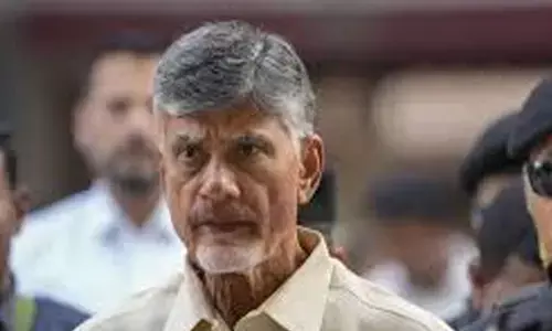 chandrababu naidu, chief minister, delhi, andhra pradesh appointing,  orders, in-charge ministers, andhra pradesh