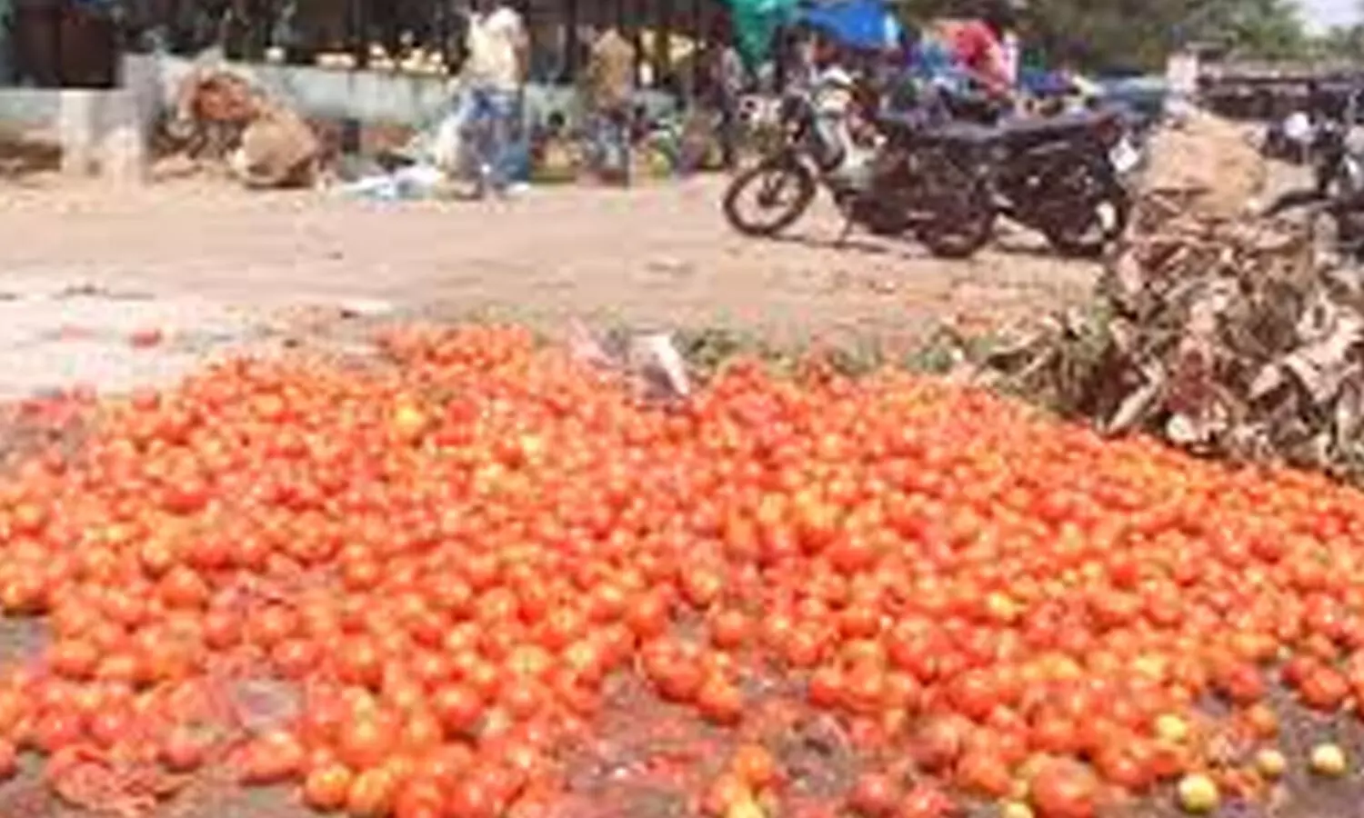 tomato,  farmers, protest, national highway