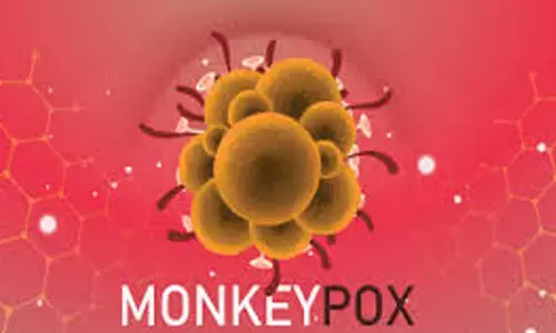 center government,  alerted, monkey pox, india