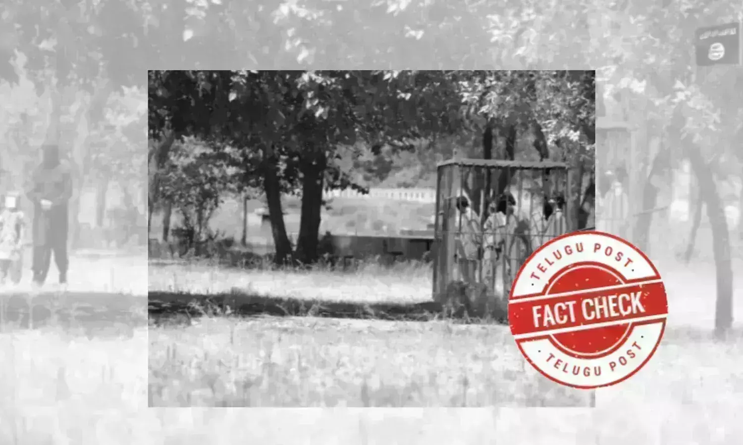 ISIS, Daesh, viral video, Pakistani, minor rape, capital punishment, saudi arabia