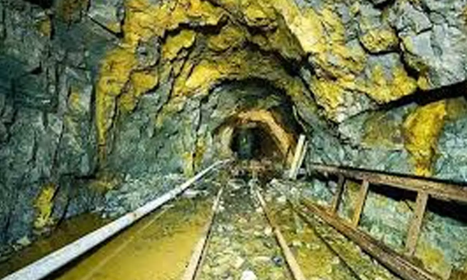 gold mine, confirmed, minister, odisha