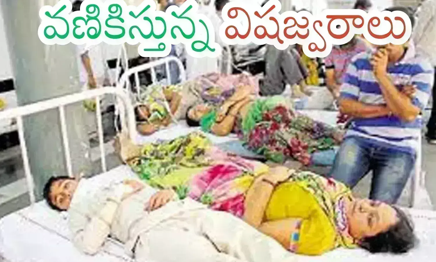 viral fever, dengue cases, patients,  telangana