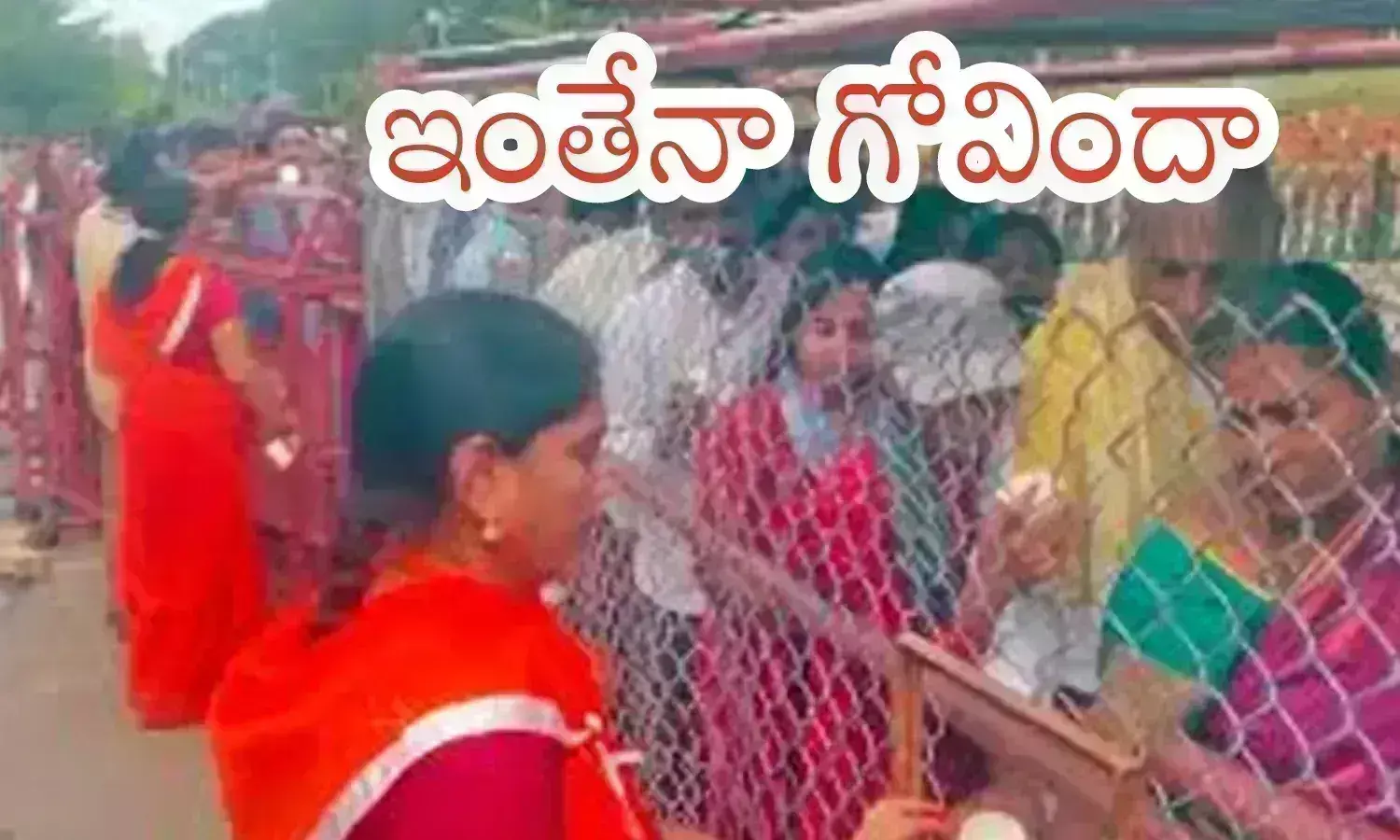 rush, devotees, tuesday, tirumala