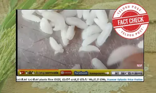 News that Karnataka government is providing plastic rice in ration is false.