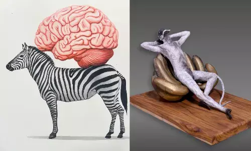 హైదరాబాదీలను అలరించడానికి సిద్ధమైన పాజ్ అండ్ రిఫ్లెక్ట్ ఆర్ట్ ఎగ్జిబిషన్