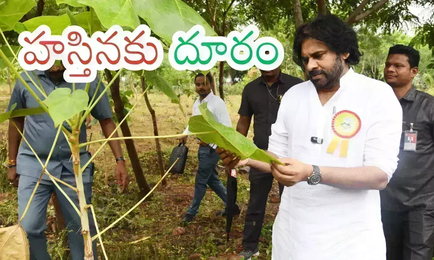 pawan kalyan, deputy chief  minister, delhi, ap politics